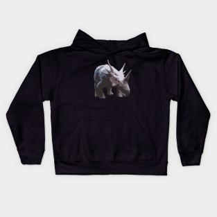 Styracosaurus herbivorous dinosaur Kids Hoodie